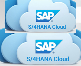 S/4 HANA